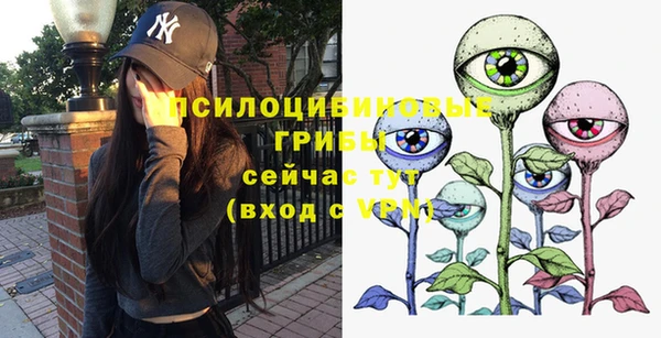 скорость Белокуриха